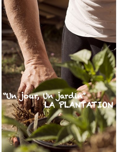 Stages "un jour un jardin" - La plantation